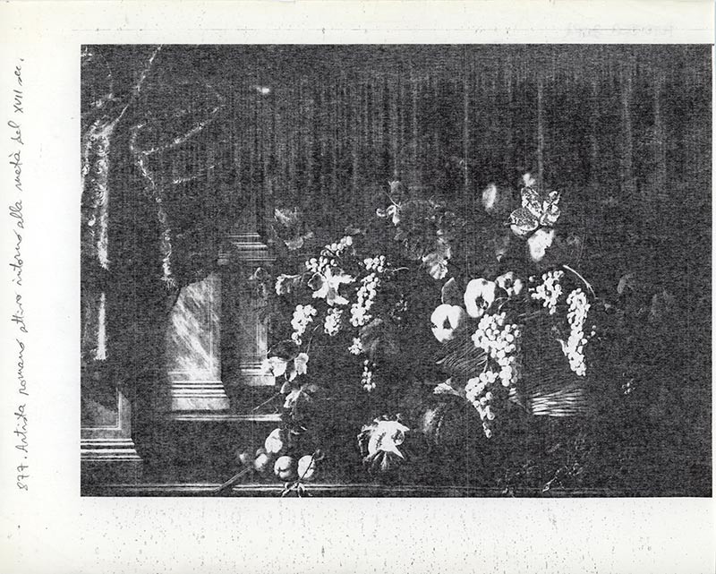 Anonimo — Manieri Carlo - sec. XVII/ XVIII - Natura morta con cesto di frutta, carciofi, tenda e fondale architettonico — insieme